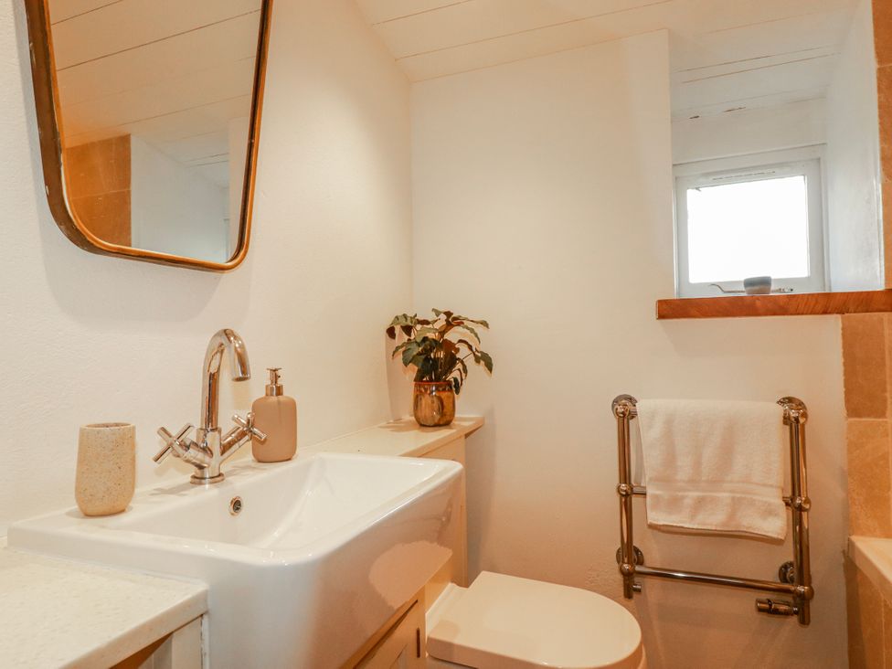 A bathroom with sink, toilet, mirror and plant at Roughtor Barn Poldue near Camelford