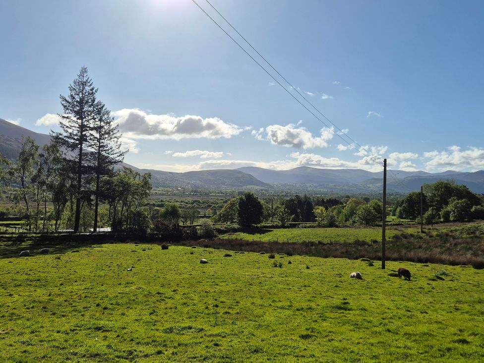 A landscape view with trees and sheep at Wren's Nest in Thornthwaite near Braithwaite