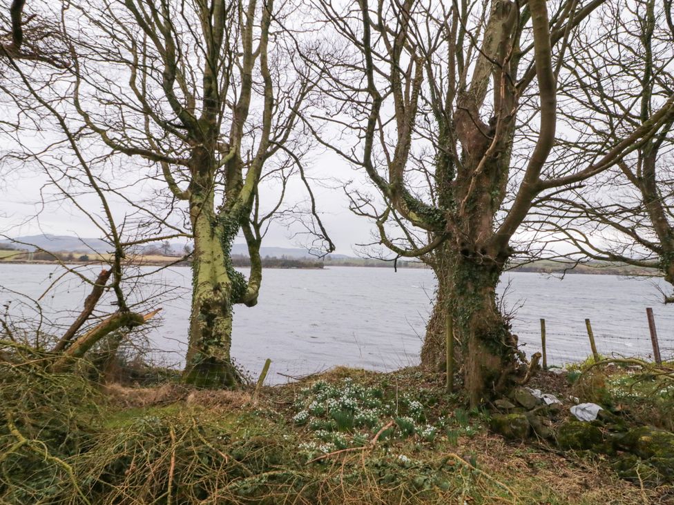 Dock at Dominic's - County Donegal - 1166872 - thumbnail photo 40