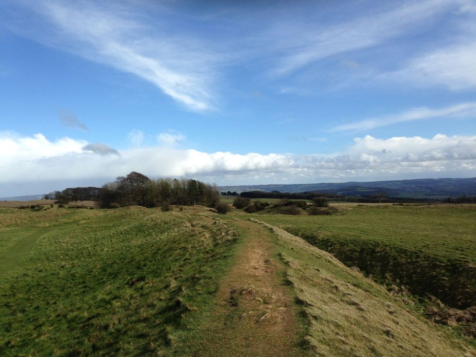 Tree Tops - Cotswolds - 1166882 - thumbnail photo 23