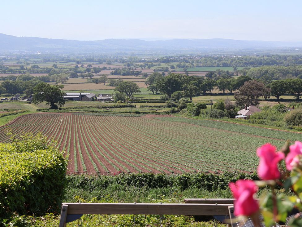 A field with rows of crops and trees in the background with pink flowers in the foreground at Buzzards View in Dyserth
