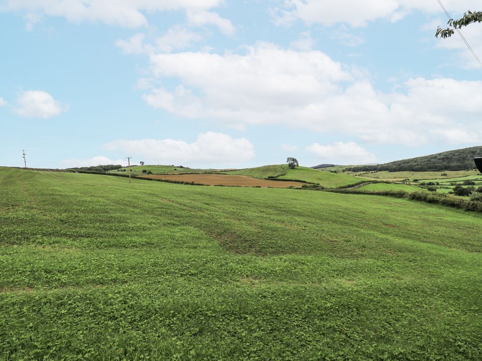 A grassy field with trees and power lines at Old Cottage in Oxen Park near Ulverston