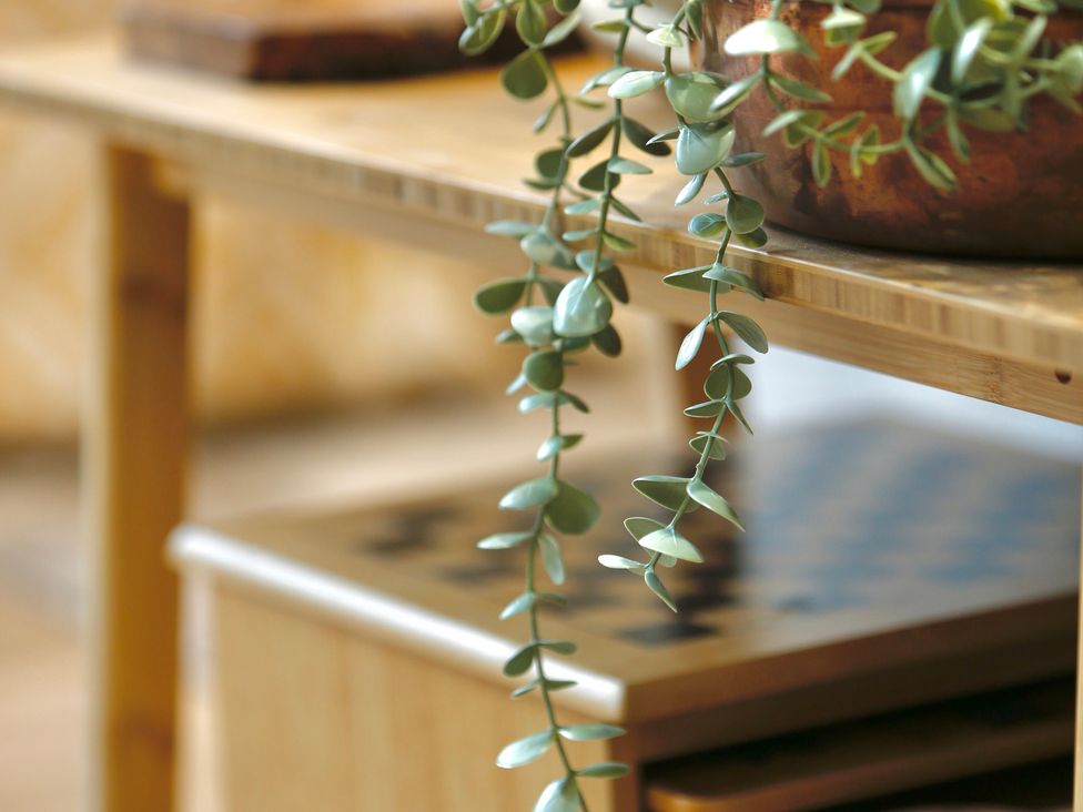 A table with a plant and chessboard at Havendale in Chesterfield