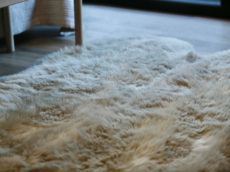 A rug on the floor in the living room at Havendale Chesterfield