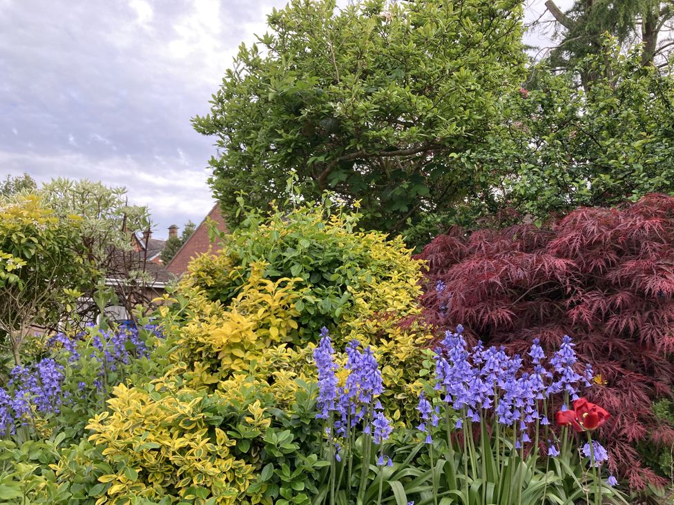 A garden with various flowers and plants at Havendale in Chesterfield