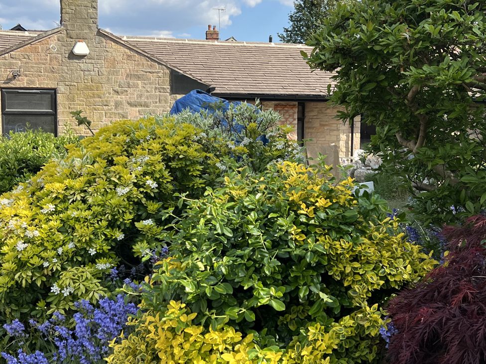 A garden with various plants and a house at Havendale Chesterfield