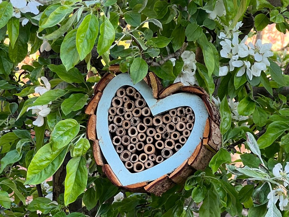 An insect hotel with a heart shape in a garden at Havendale in Chesterfield