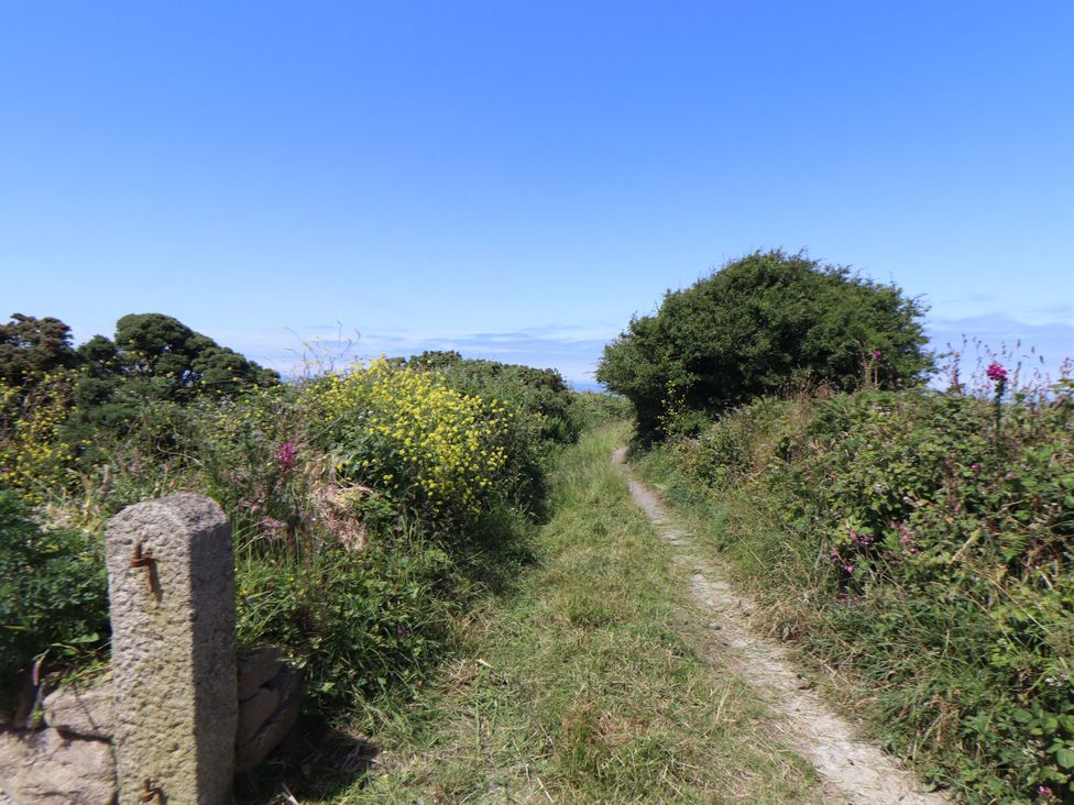 Little Victory - Cornwall - 1167089 - thumbnail photo 37