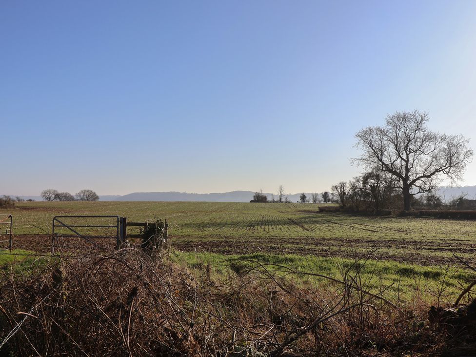 Curlew Cottage - Somerset & Wiltshire - 1167125 - thumbnail photo 38