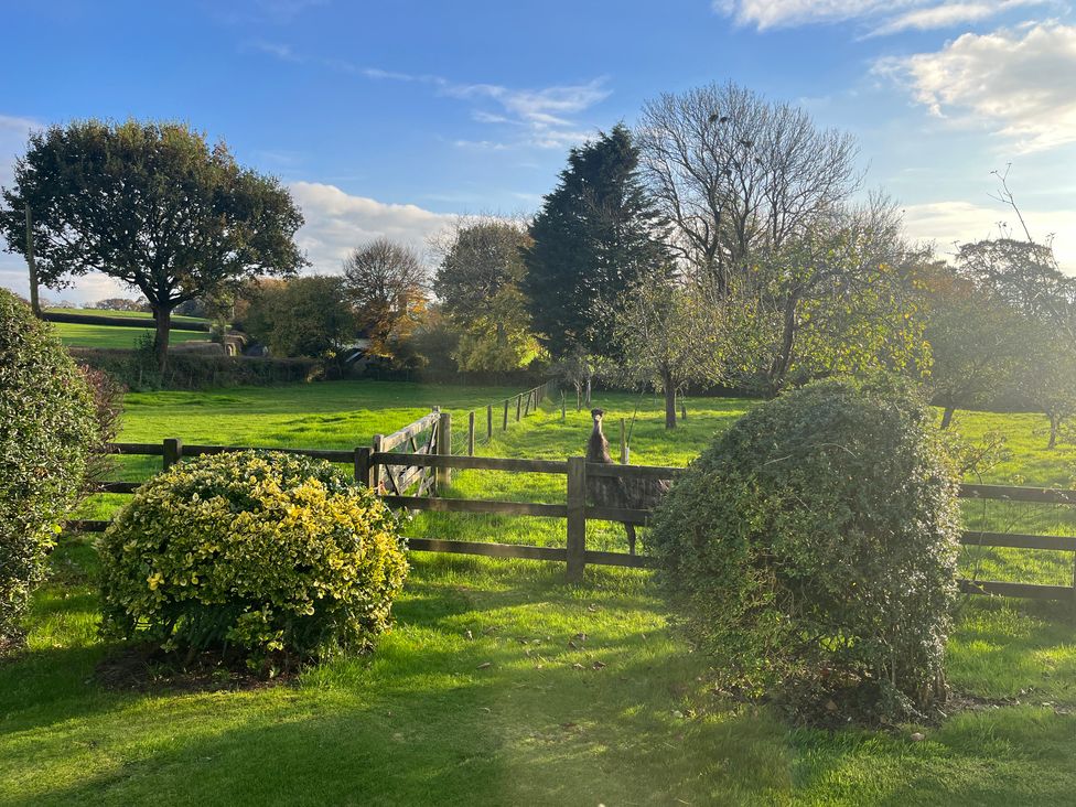 War Horse Valley Orchard View - Devon - 1167164 - thumbnail photo 33