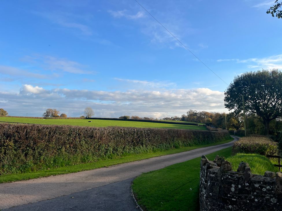 War Horse Valley Orchard View - Devon - 1167164 - thumbnail photo 41