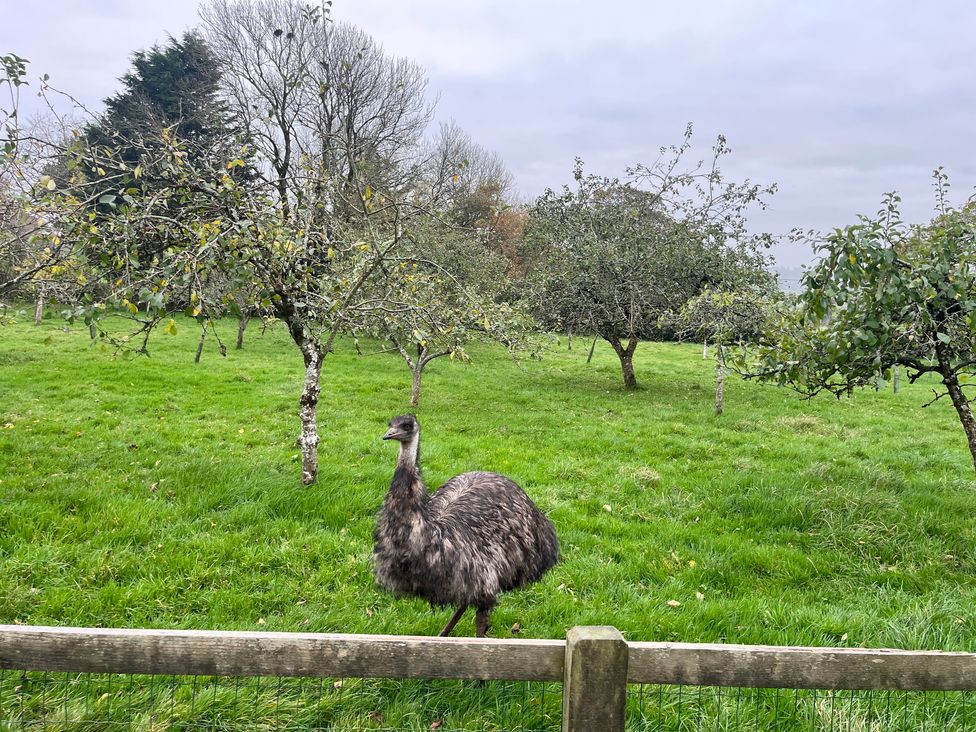 War Horse Valley Orchard View - Devon - 1167164 - thumbnail photo 45