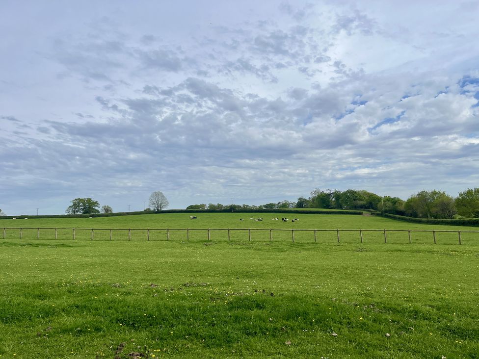 War Horse Valley Orchard View - Devon - 1167164 - thumbnail photo 44