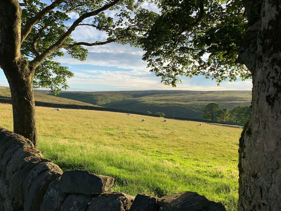 A landscape with trees and sheep in a grassy field at Moss Cottage in Cragg Vale