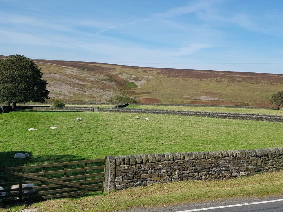 A grassy field with sheep and a stone wall at Moss Cottage in Cragg Vale