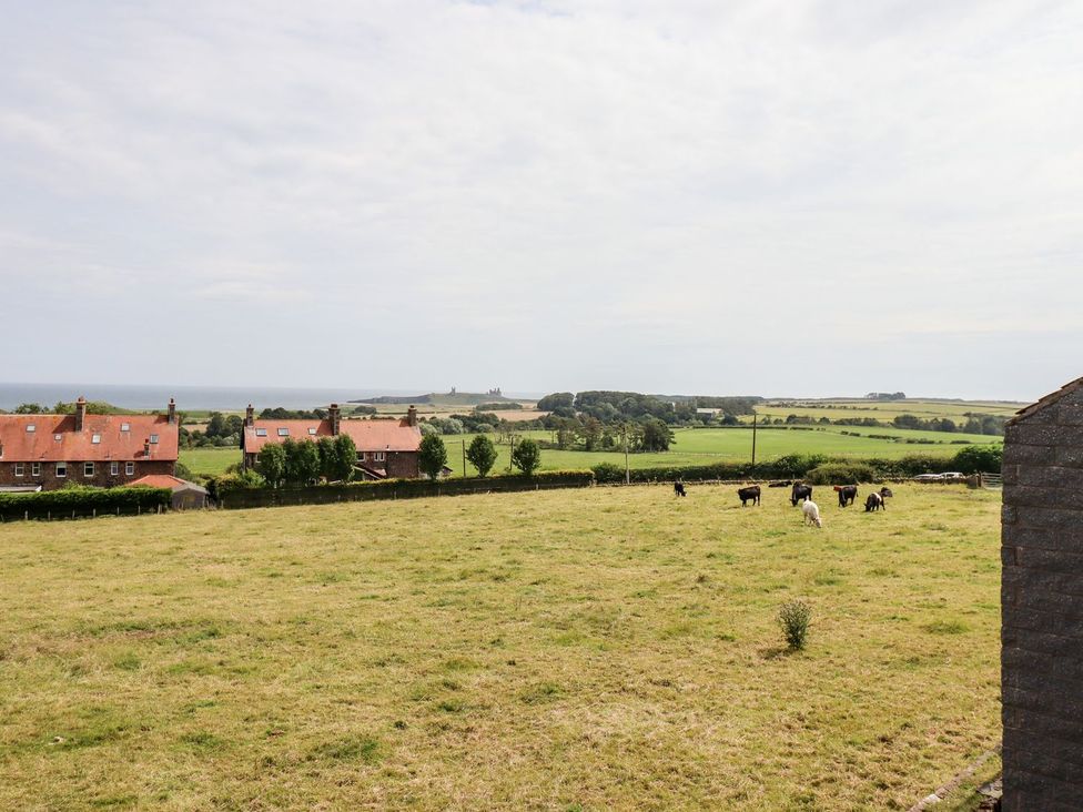 Dunstanburgh View - Northumberland - 1167179 - thumbnail photo 13