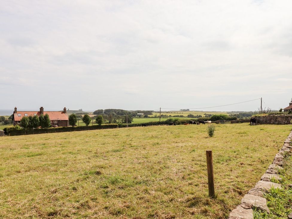 Dunstanburgh View - Northumberland - 1167179 - thumbnail photo 17