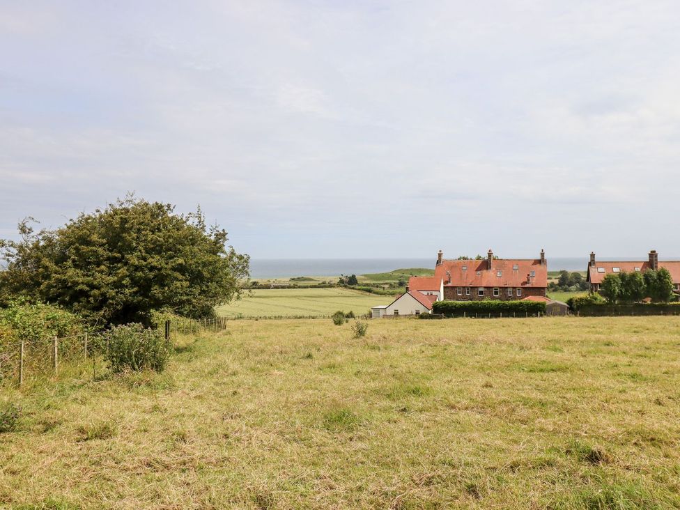 Dunstanburgh View - Northumberland - 1167179 - thumbnail photo 18