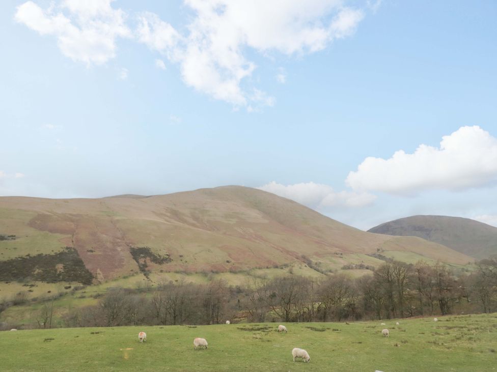 A landscape with mountains and sheep grazing in a field in Sedbergh