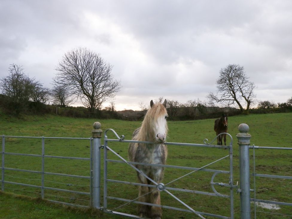 Ynys Uchaf - Anglesey - 1167335 - thumbnail photo 26