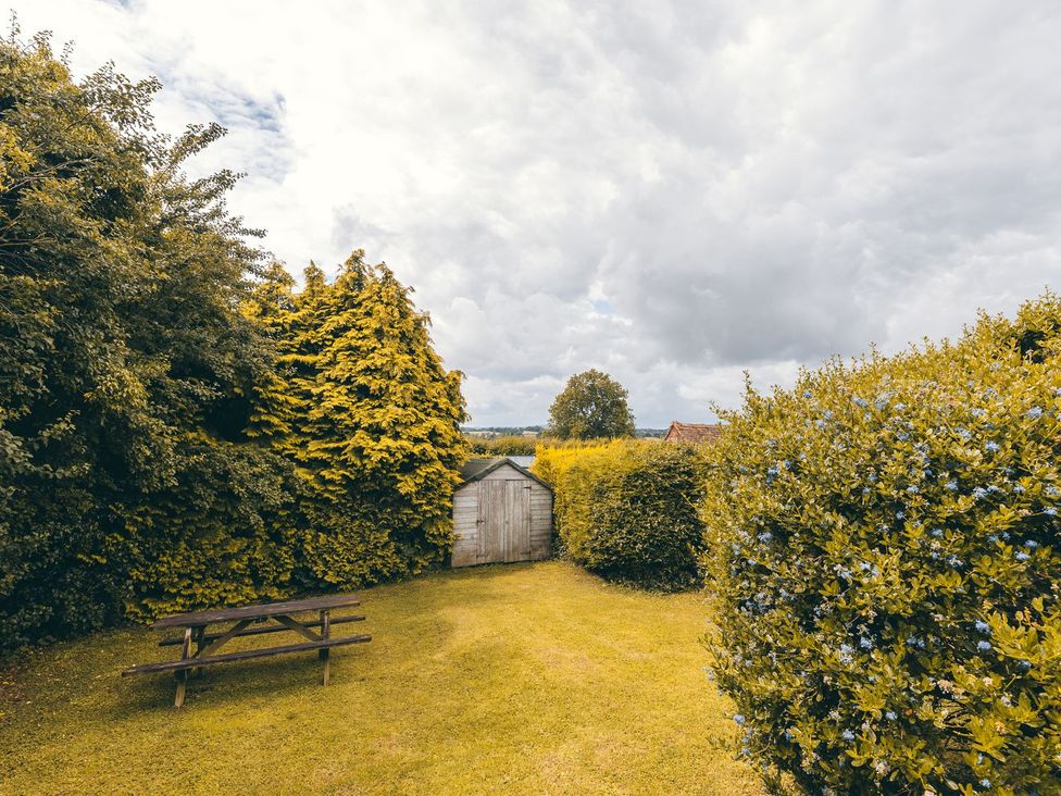 Shepherd's Cottage - Shropshire - 1167341 - thumbnail photo 24