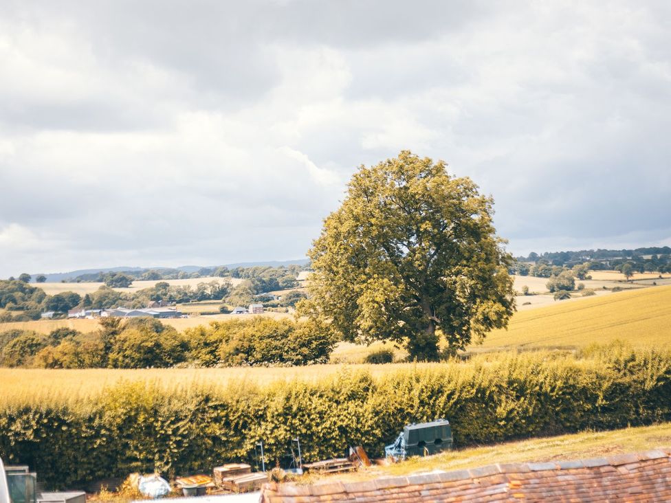 Shepherd's Cottage - Shropshire - 1167341 - thumbnail photo 25