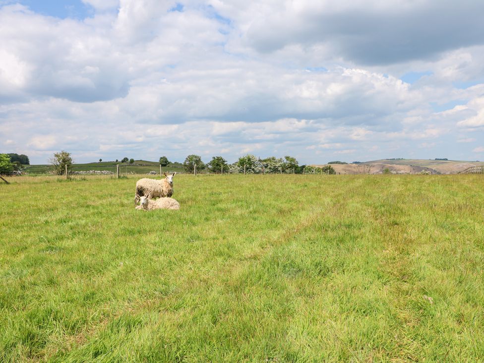 A grassy field with two sheep with hills and cloudy sky in the background at Corner Cottage in Ashbourne