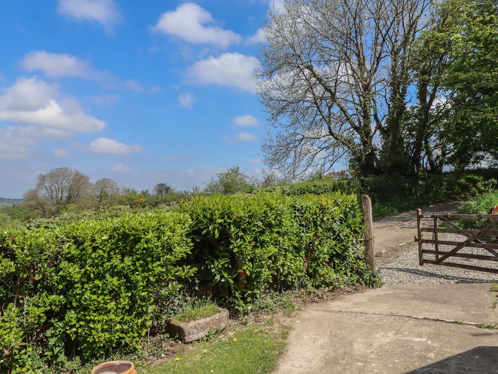Ash Cottage - Devon - 1167413 - thumbnail photo 36