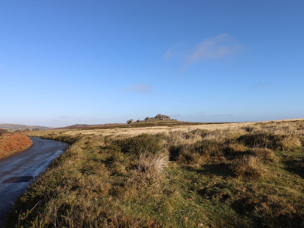 Ash Cottage - Devon - 1167413 - thumbnail photo 40