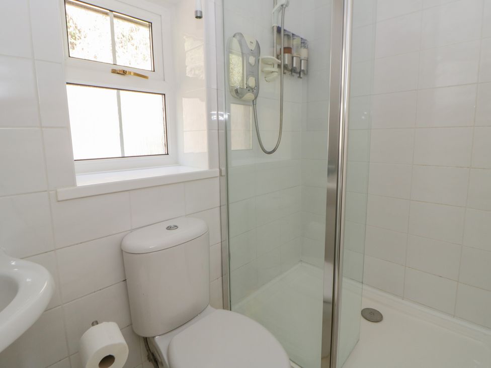 A bathroom with a shower and toilet at Brynmorfa in Llandysul