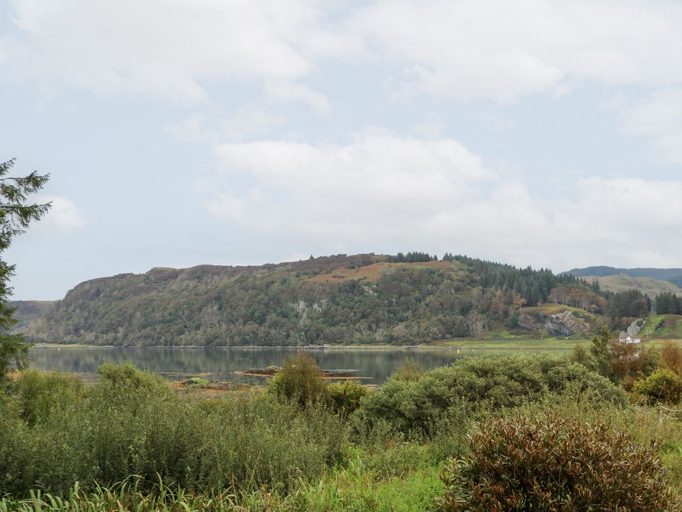 A view of a hill and water surrounded by vegetation at Scarba in Oban