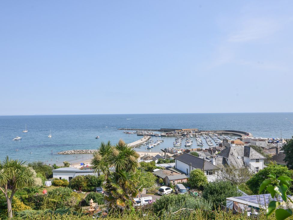 Little Cliff House - Dorset - 1167463 - thumbnail photo 42