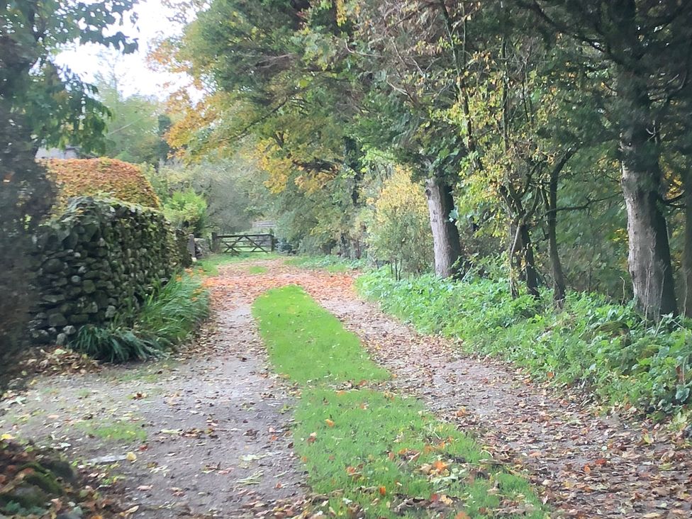 A path surrounded by trees leading to a gate at Cross Winds in Clapham