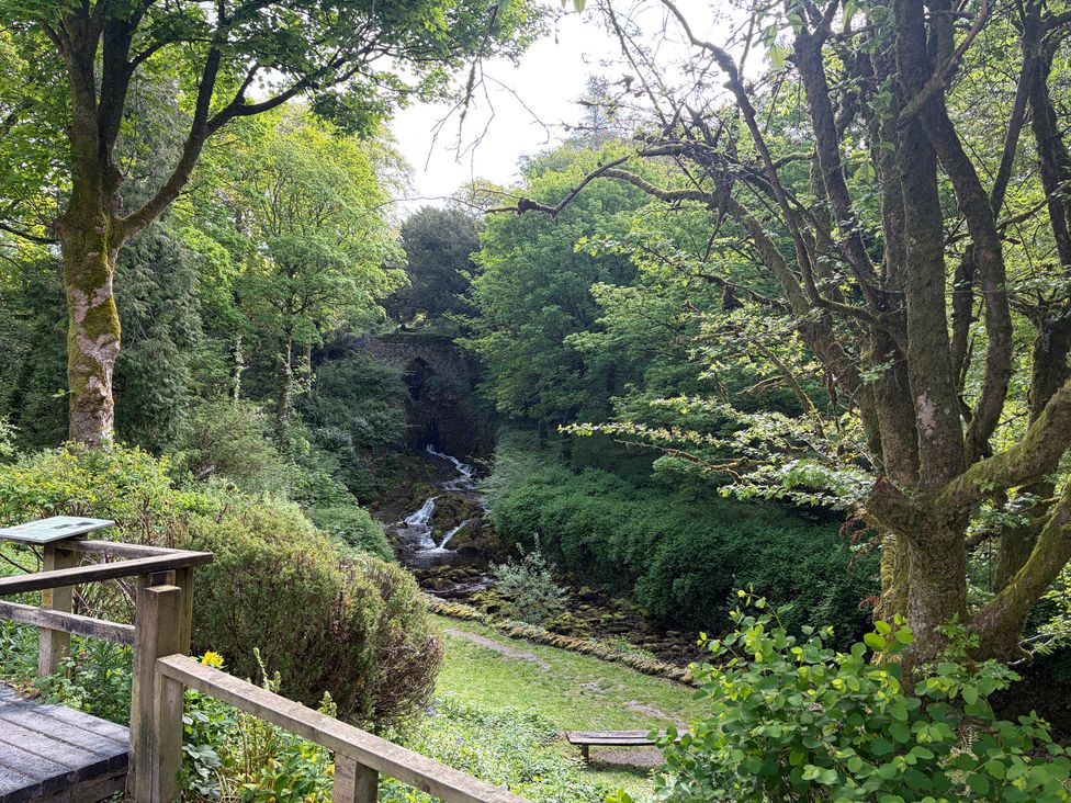 A view of a stream and trees in a natural setting at Cross Winds in Clapham