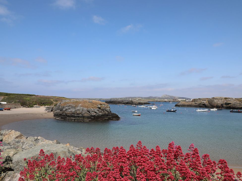Seaddler - Anglesey - 1167497 - thumbnail photo 16
