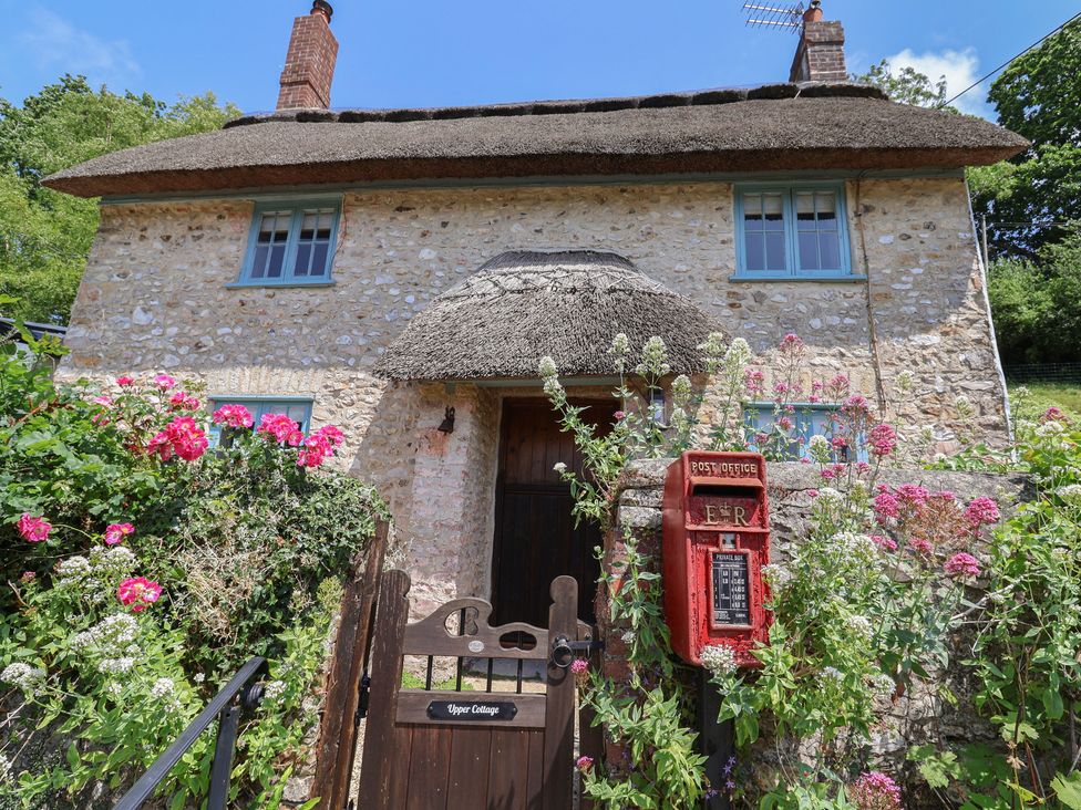 A cottage with thatch roof and flower bushes at Upper Cottage in Rocombe near Uplyme