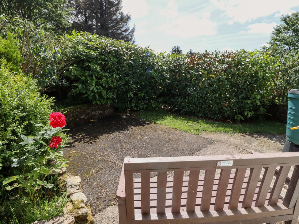 A garden with a bench and a rose at Fir Tree Cottage near Cottonshopeburnfoot