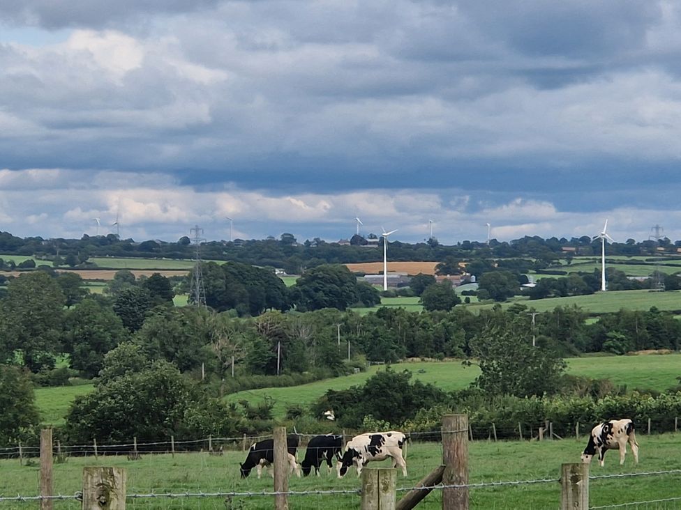 A view of cows grazing in a field with wind turbines in the background at Daisy Cottage near Wigton