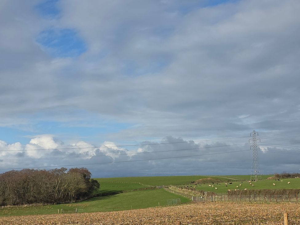 A landscape with cows grazing in a field and a power line near Wigton