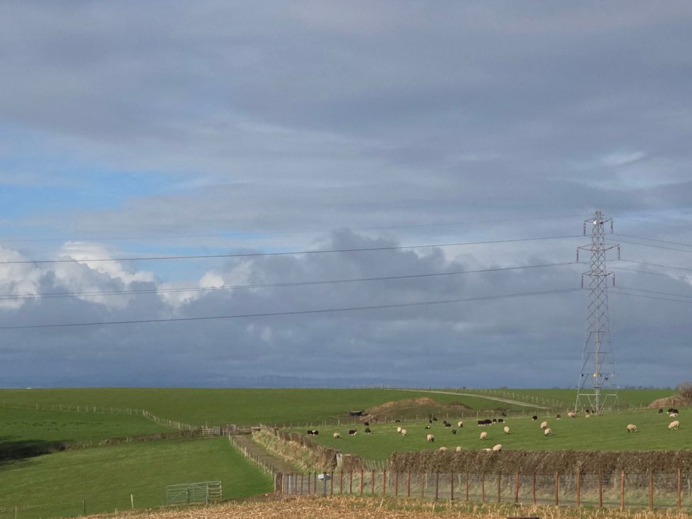 A field with sheep and an electricity pylon at Daisy Cottage near Wigton