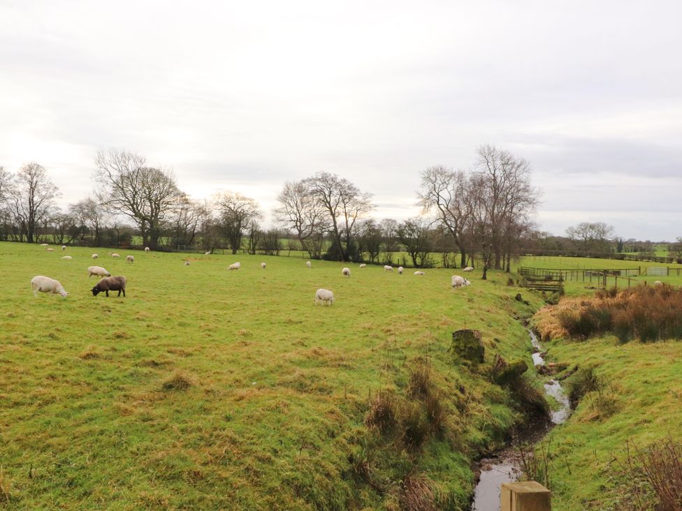 Pear Tree Cottage - Lake District - 1167611 - thumbnail photo 41