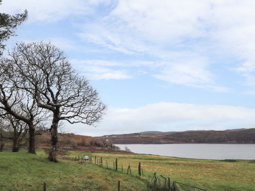 A landscape with a tree near a lake at Faodail Studio
