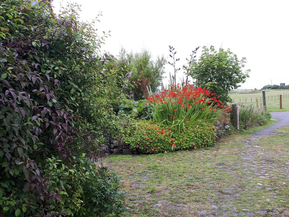 A garden with flowers and plants near a pathway at Taigh Phinc in Balemore near Lochmaddy, North Uist