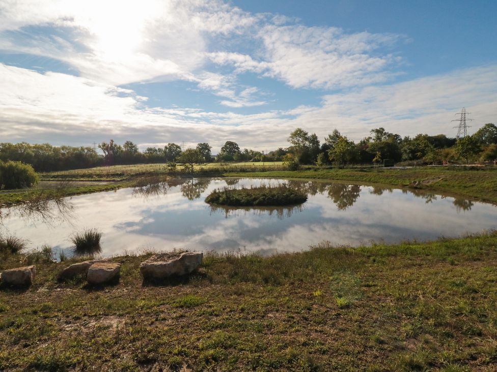 A pond with an island surrounded by grass at Lodge 6 in Stockton-on-Tees