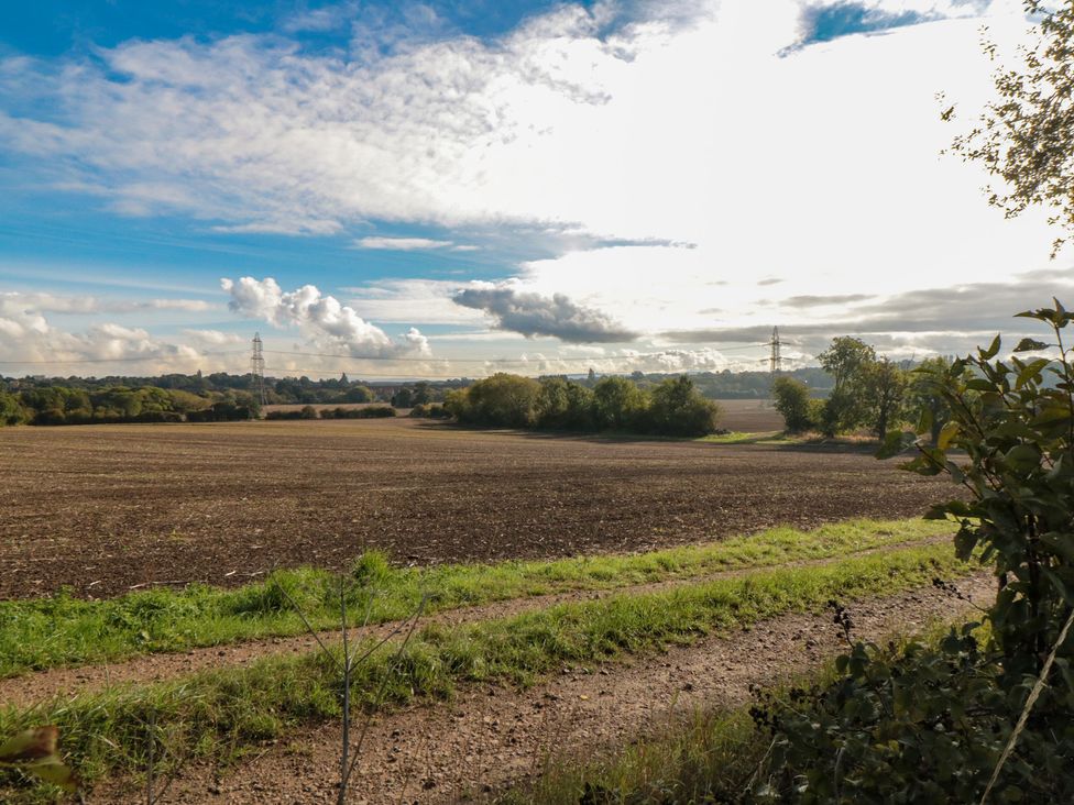 A field with trees and electric poles outdoors at Lodge 7 Stockton-on-Tees
