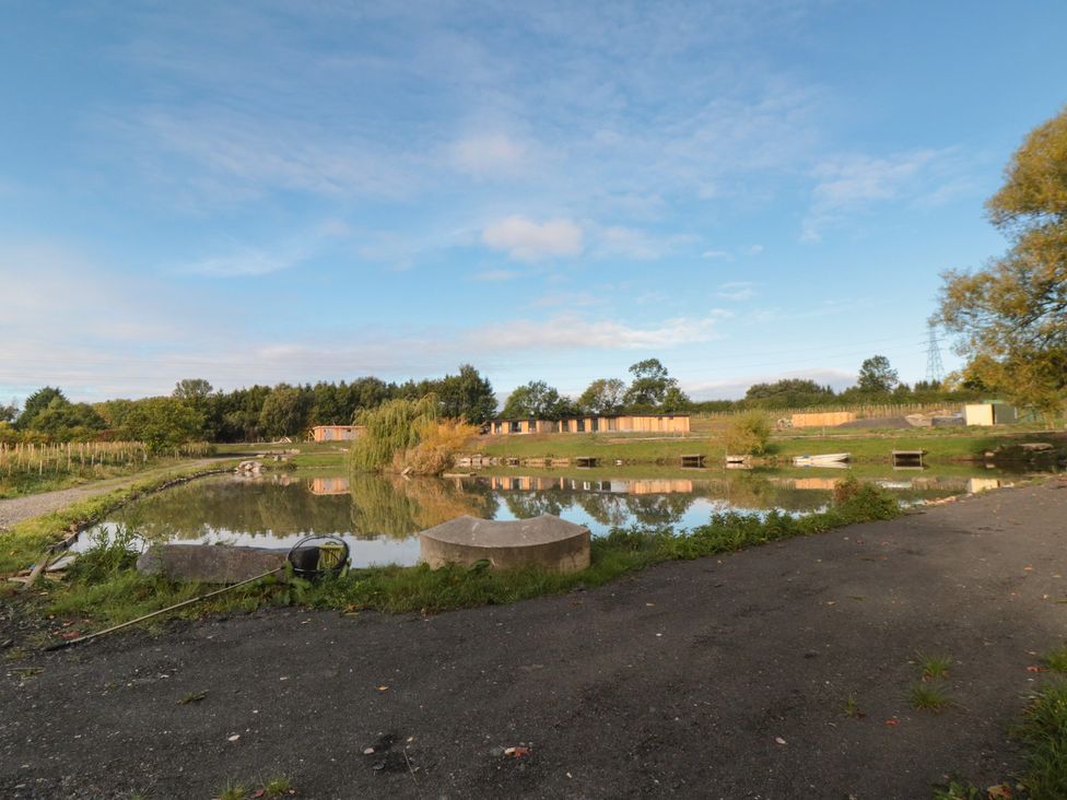 A pond surrounded by grassy land and trees at Lodge 7 Stockton-on-Tees