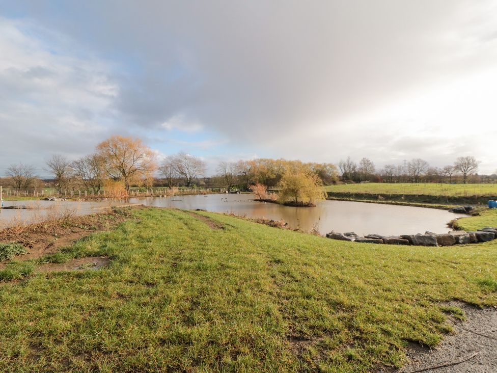 A pond surrounded by grass and trees at Lodge 8 Stockton-on-Tees