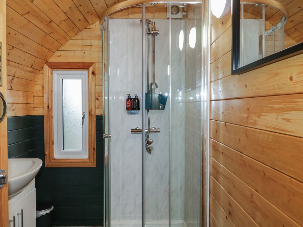 Yew -  - 1167691 - thumbnail photo 9