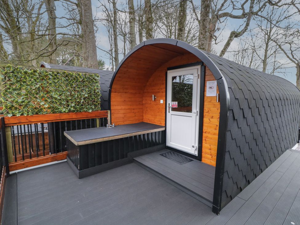 Elm -  - 1167692 - thumbnail photo 2