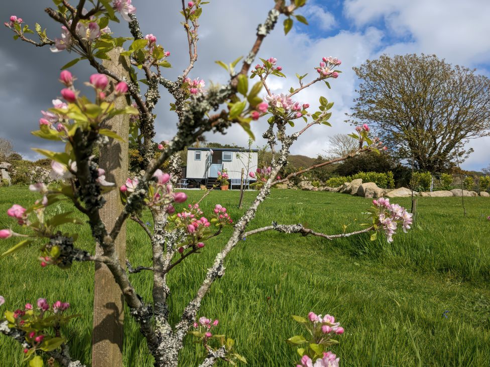 Teg - Cornwall - 1167741 - thumbnail photo 23